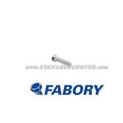 Boulon  M 5 mm L 20 mm zingué FABORY